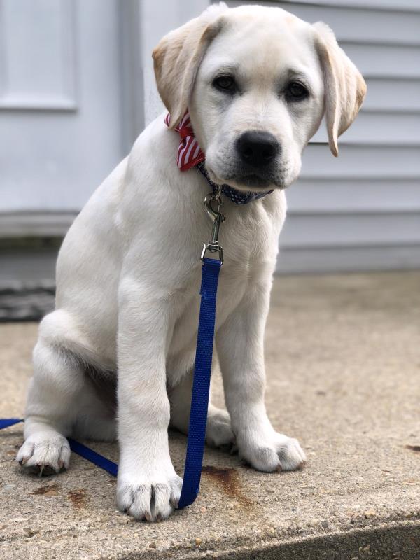 /Images/uploads/Humane Rescue Alliance/HRACalendarPhotoContest/entries/8609.jpg